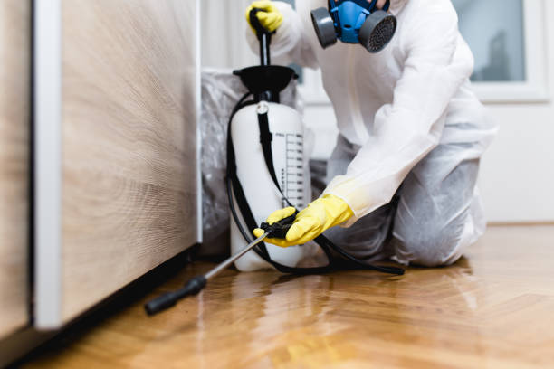 Best Residential Pest Control  in Gahanna, OH