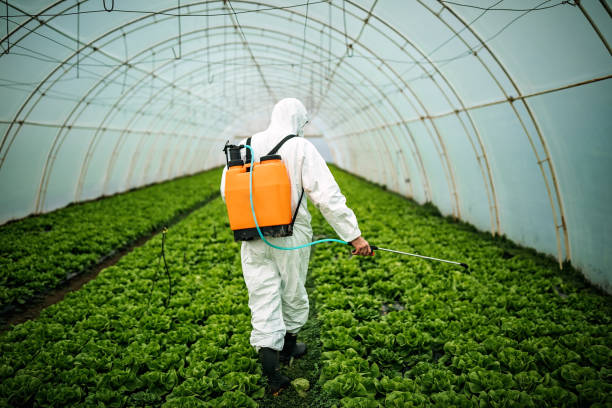 Best Best Pest Control Companies  in Gahanna, OH