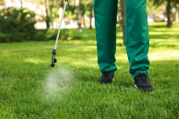 Best Bed Bug Extermination  in Gahanna, OH
