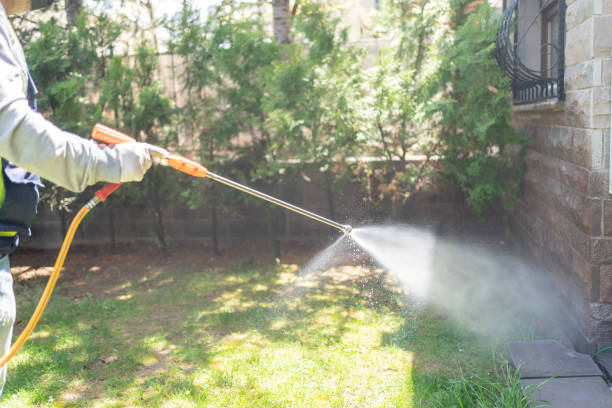 Best Pest Control Near Me in Gahanna, OH