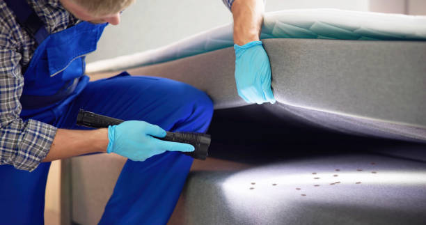 Best Affordable Pest Control Services  in Gahanna, OH
