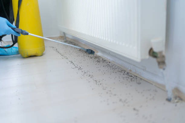 Best Pest Prevention Services  in Gahanna, OH